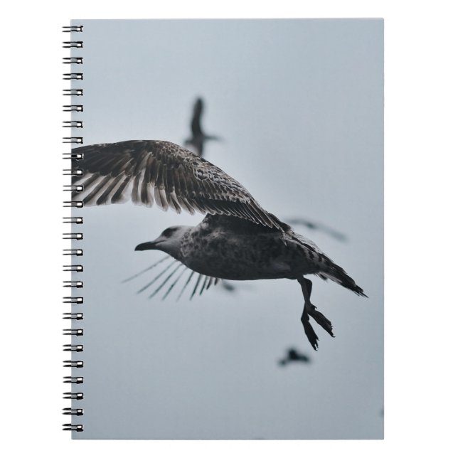 CARNET OISEAU NOIR ET BLANC (Devant)