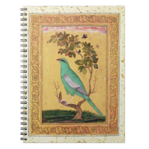 Carnet Oiseau vert, Mughal (gouache sur le papier)