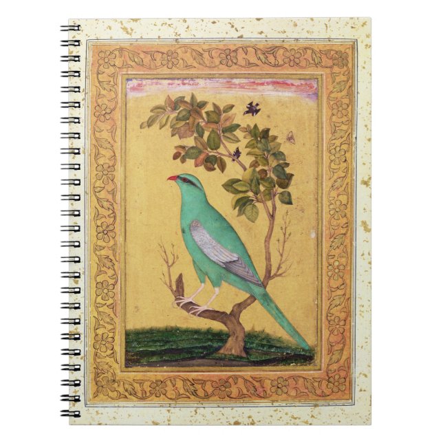 Carnet Oiseau vert, Mughal (gouache sur le papier) (Devant)
