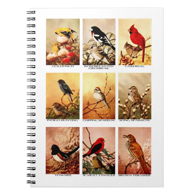 Carnet Oiseaux (Devant)