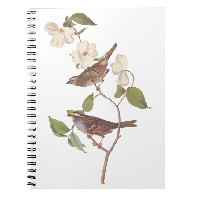 Carnet Oiseaux Audubons à Bruant à Throses Blanches avec  (Devant)