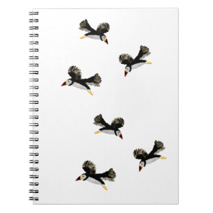 Carnet Oiseaux côtiers Puffins Volants