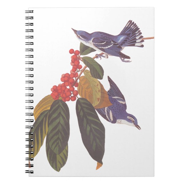 Carnet Oiseaux de Paruline Céruleenne d'Audubon avec baie (Devant)