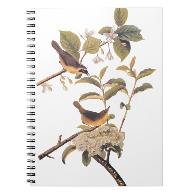 Carnet Oiseaux du Maryland à gorge jaune Audubon dans l'o (Devant)