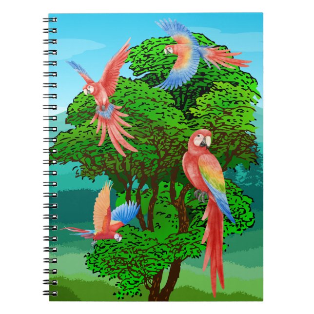 Carnet oiseaux , perroquets (Devant)