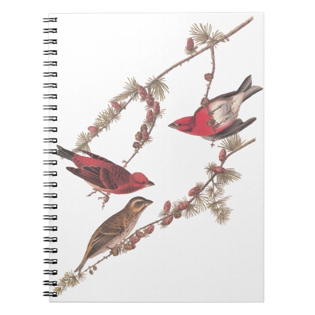 Carnet Oiseaux rouges pourpres d'Audubon sur l'arbre à co (Devant)