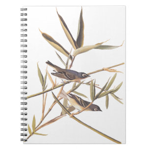Carnet Oiseaux volants Vireo solitaire d'Audubon sur la c
