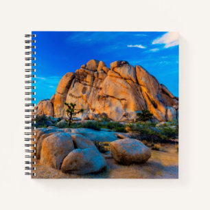 Carnet Old Woman Rock - Parc national de Joshua Tree