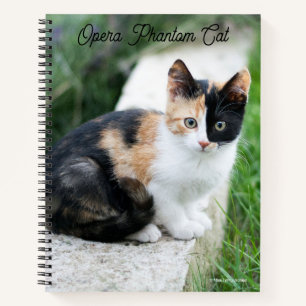 Carnet Opera Phantom Chat