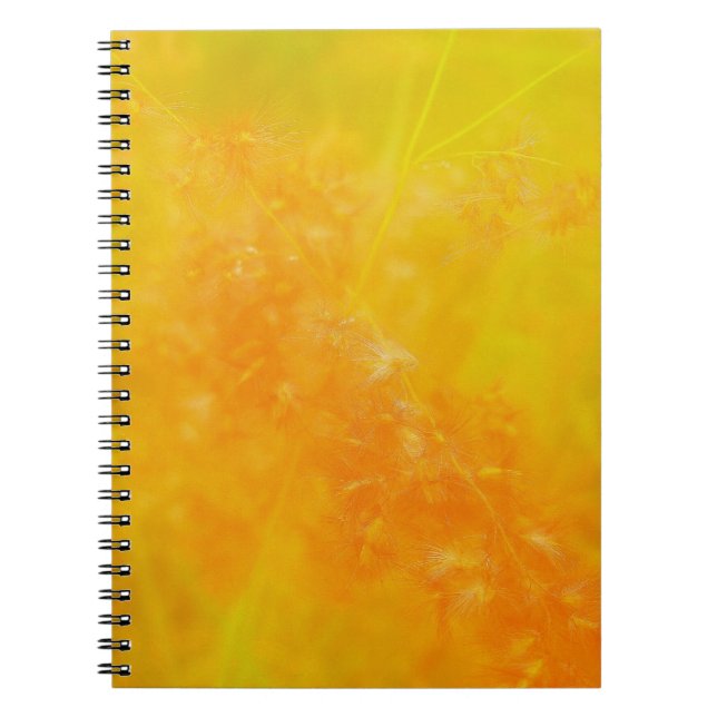 Carnet orange brillant (Devant)