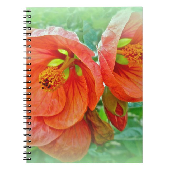 Carnet Orange Hibiscus Fleurs (Devant)