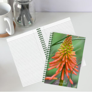 Carnet Orange Kniphofia Bloom Floral