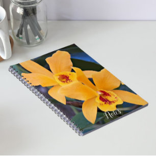 Carnet Orange Orchidée fleurit