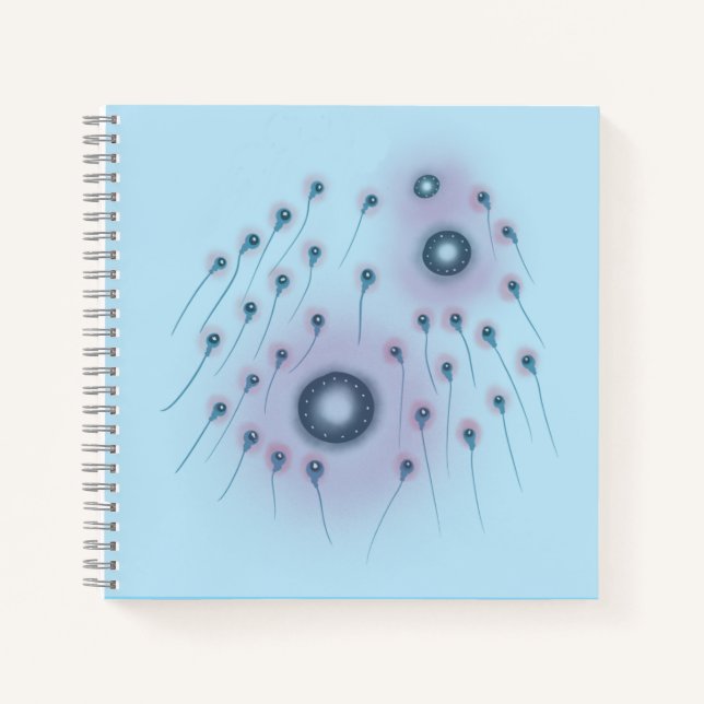 Carnet Orbus Ovulum (Devant)