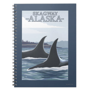 Carnet Orca Whales #1 - Skagway, Alaska