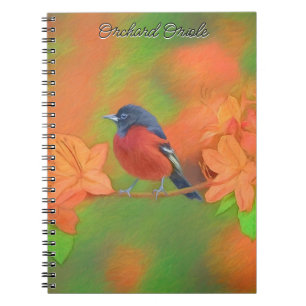 Carnet Orchard Oriole Songbird Peinture Oiseau original