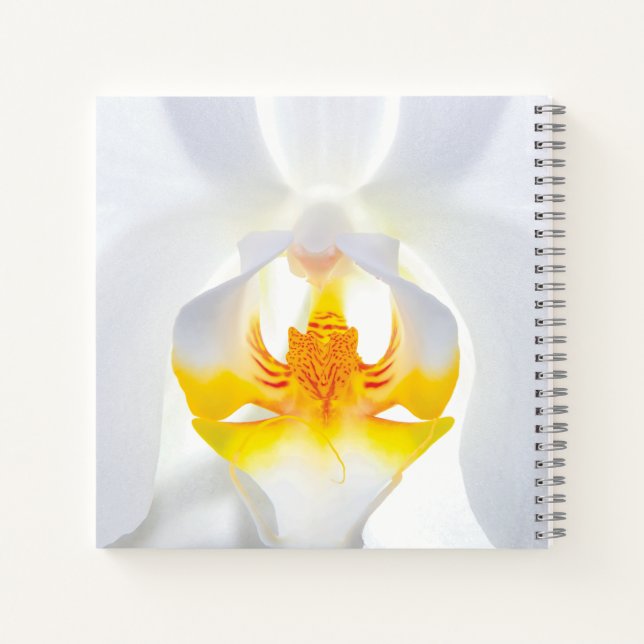 Carnet Orchidée blanche (Dos)