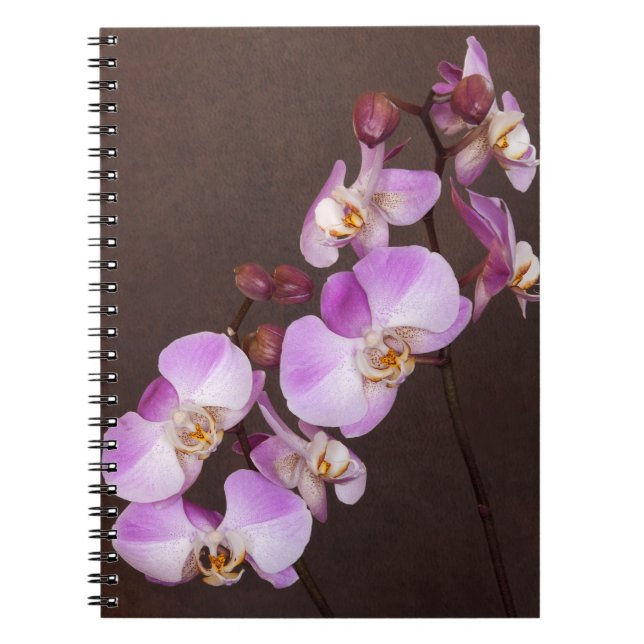 Carnet Orchidée Fleur Diagonale Violet Blanc Gros plan Ph (Devant)