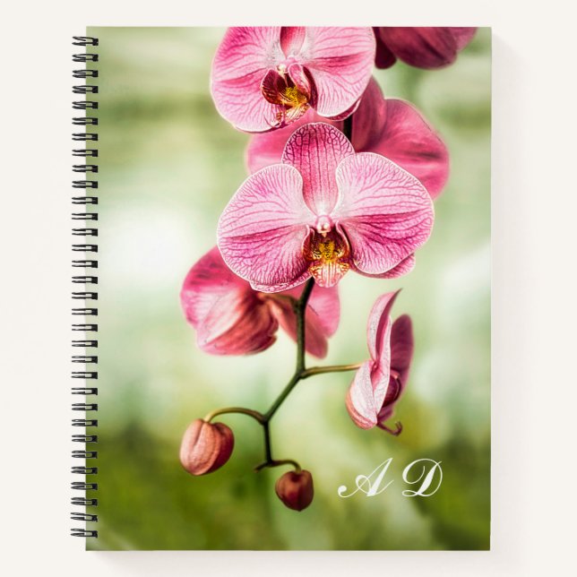 Carnet Orchidée rose (Devant)