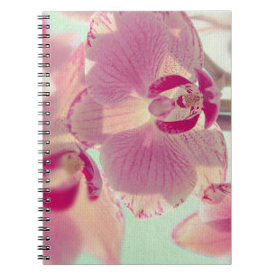 Carnet Orchidée rose