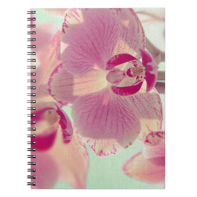 Carnet Orchidée rose (Devant)