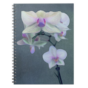 Carnet Orchidées aux nuances du pourpre