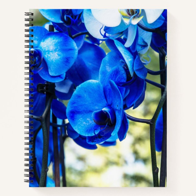 Carnet Orchidées bleues (Devant)