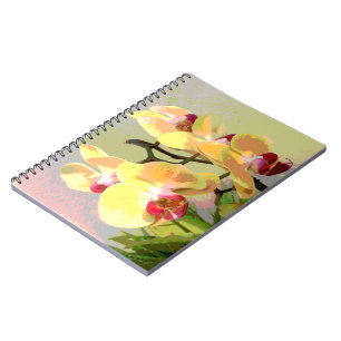 Carnet Orchidées jaunes sous le soleil de l'après-midi