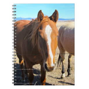 Carnet Ordinateur portable à cheval