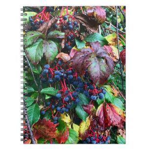 Carnet Ordinateur portable aux couleurs riches