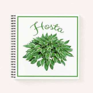 Carnet Ordinateur portable Carré Spiral Hosta Design
