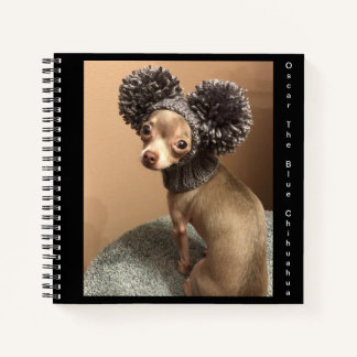Carnet Ordinateur portable en spirale Chihuahua
