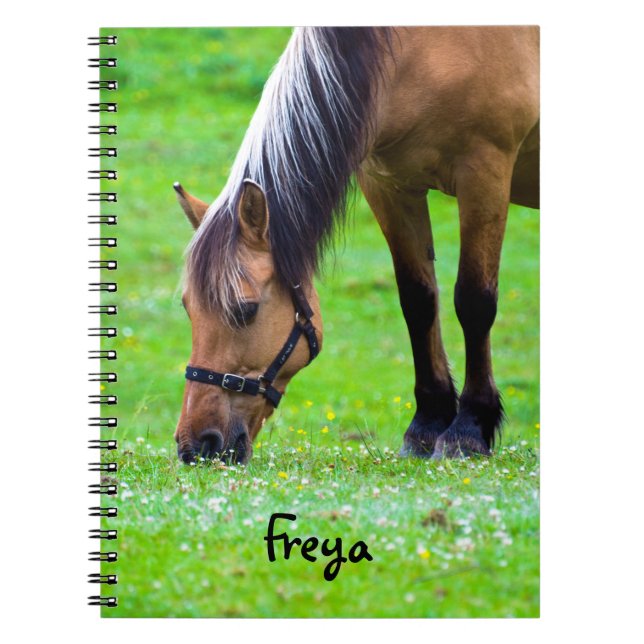 Carnet Ordinateur portable Horse Spiral (Devant)