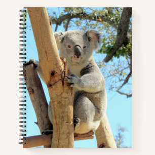 Carnet Ordinateur portable Koala - 8,5 x 11, 8,5 x 8,5 ou