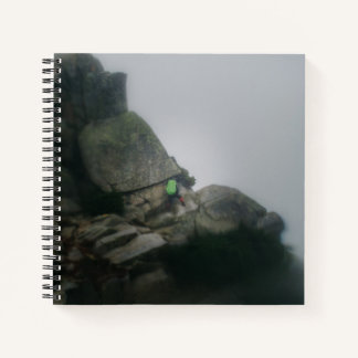 Carnet Ordinateur portable - Le long chemin vers Pilchuck