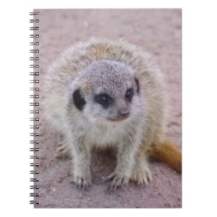Carnet Ordinateur portable Meerkat