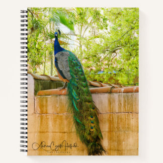 Carnet Ordinateur portable Peacock 1