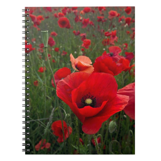 Carnet Ordinateur portable Poppy Field (Devant)