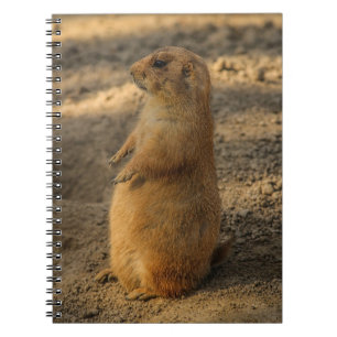 Carnet Ordinateur portable pour chien des Prairies