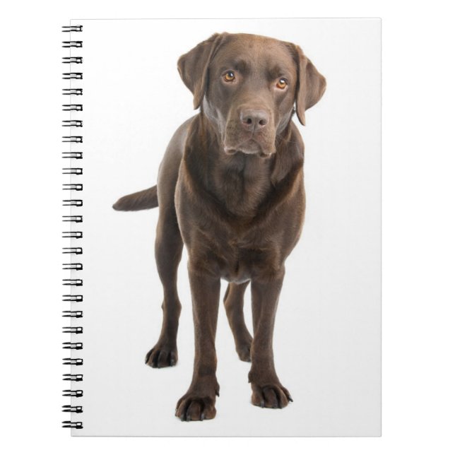 Carnet Ordinateur portable pour marionnettes pour les dét (Devant)