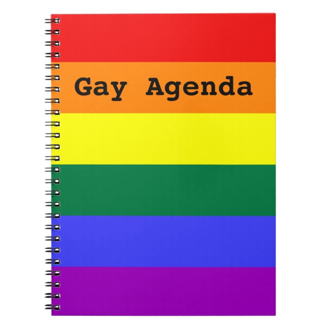 Carnet Ordinateur portable Rainbow Solide Stripe Gay Agen (Devant)