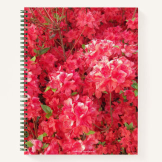 Carnet Ordinateur portable Red Azalea
