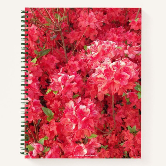 Carnet Ordinateur portable Red Azalea (Devant)