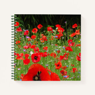 Carnet Ordinateur portable Red Poppies Field