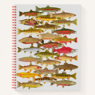 Carnet Ordinateur portable Trout