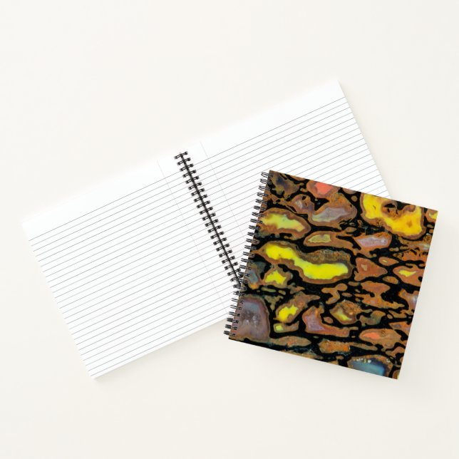 Carnet Os de dinosaure multicolore (Intérieur)