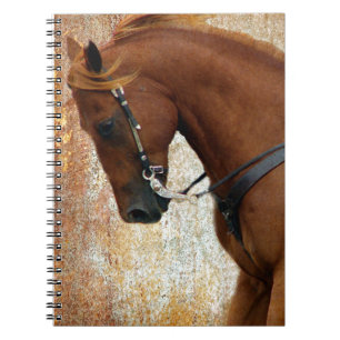 Carnet Oseille de cheval occidental grunge