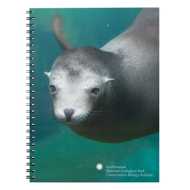 Carnet Otarie de Smithsonien | (Devant)