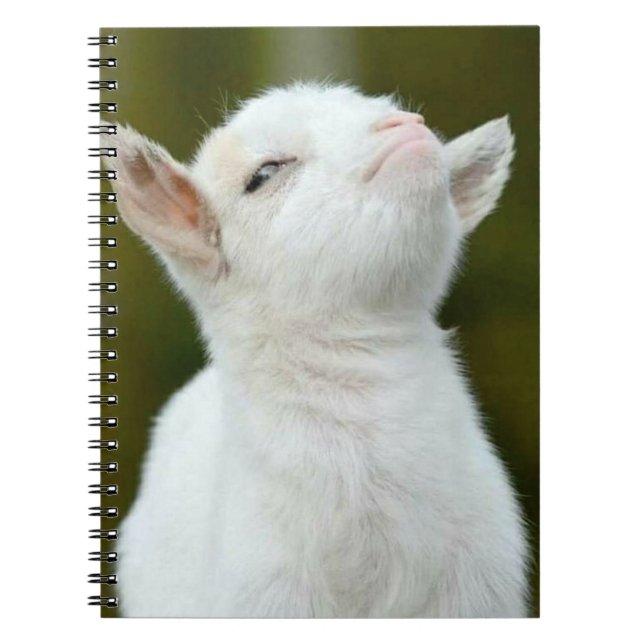 Carnet Ouais (Devant)