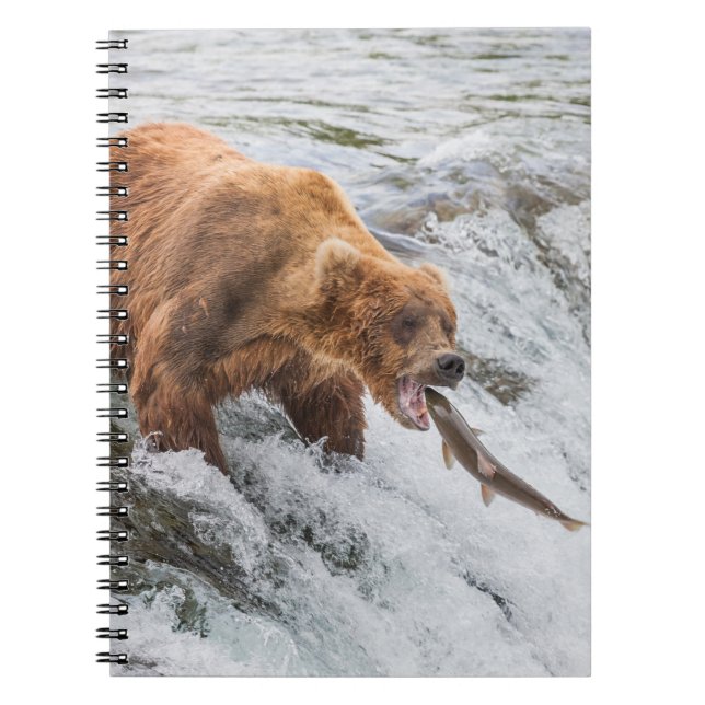 Carnet Ours brun attrape un saumon rouge (Devant)